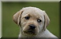 DSC_7323.JPG