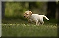DSC_7354.JPG