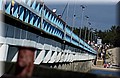 DSC_7646.JPG