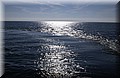 DSC_7706.JPG