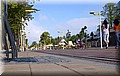 DSC_8047777.jpg