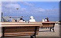 DSC_8054444.jpg