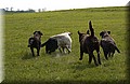 DSC_8125.JPG