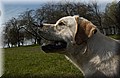DSC_8143.JPG