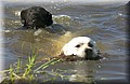 DSC_8172.JPG