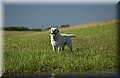 DSC_8182.JPG