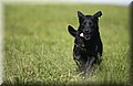 DSC_8250.JPG