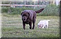 DSC_8364.JPG