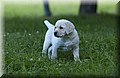 DSC_8366.JPG