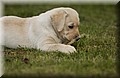 DSC_8385.JPG