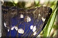 DSC_8450.JPG