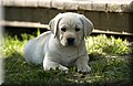 DSC_8489.JPG