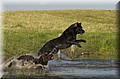 DSC_8890.JPG