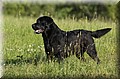 DSC_8901.JPG