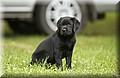 DSC_9101.JPG