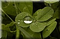 DSC_9699.JPG
