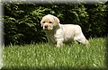 DSC_9706.JPG