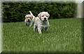 DSC_9729.JPG