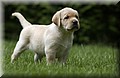 DSC_9769.JPG