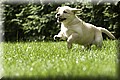 DSC_9803333.jpg