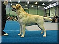 IMG_1069.JPG