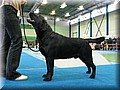 IMG_1086.JPG