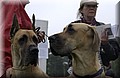 Picture 060.jpg