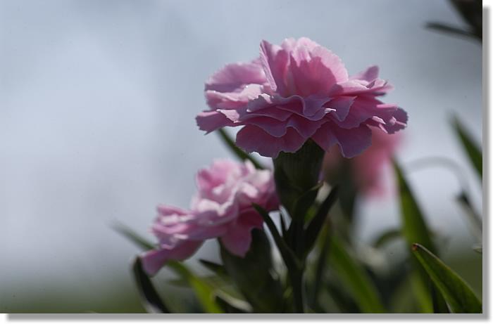 2006-05-08