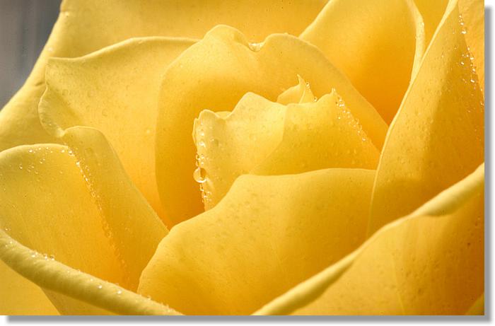 2006-03-13