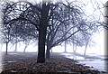 DSC_00~3.JPG