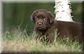 DSC_0501.JPG