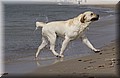 DSC_0579.JPG