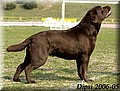 DSC_101999.jpg