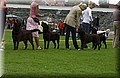 DSC_1070.JPG
