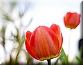 DSC_1116.jpg