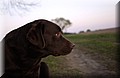 DSC_1195.JPG
