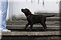 DSC_1268.JPG