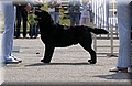 DSC_1347.JPG