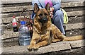 DSC_1360.JPG