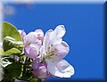 DSC_1406666.jpg
