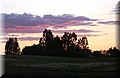 DSC_1951.JPG