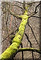 DSC_2071.jpg