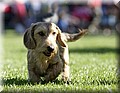 DSC_22244444.jpg