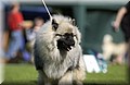 DSC_2293.JPG