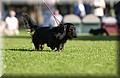 DSC_2358.JPG