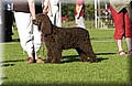 DSC_2457.JPG