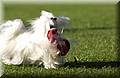 DSC_2504.JPG