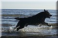 DSC_2610.JPG
