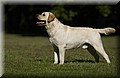 DSC_3138.JPG