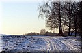 DSC_316555.jpg